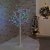 Birch Tree With Multi-Coloured LEDs